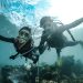Underwater shot of two people diving